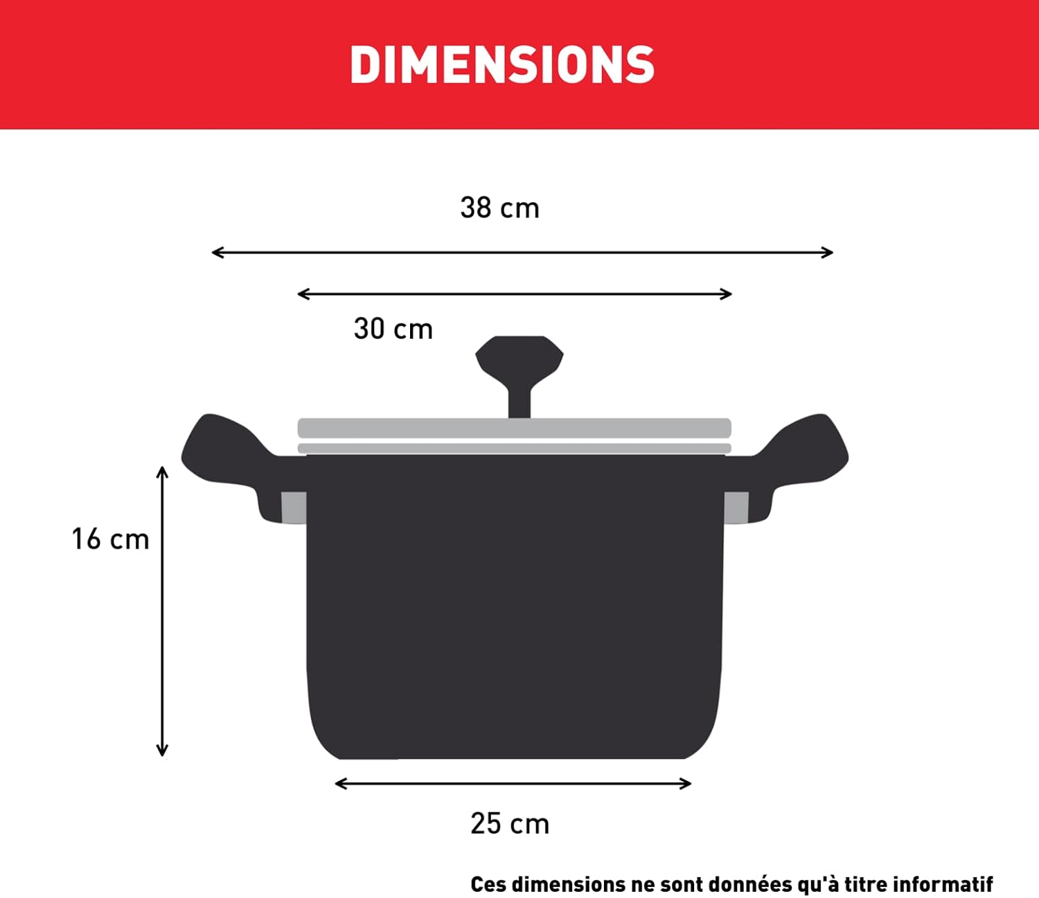 Tefal Intuition XL B8646904 - Grande Marmite Inox 30 cm 10 L avec Couvercle en Verre