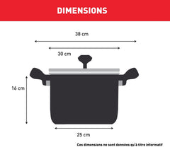 Tefal Intuition XL B8646904 - Grande Marmite Inox 30 cm 10 L avec Couvercle en Verre