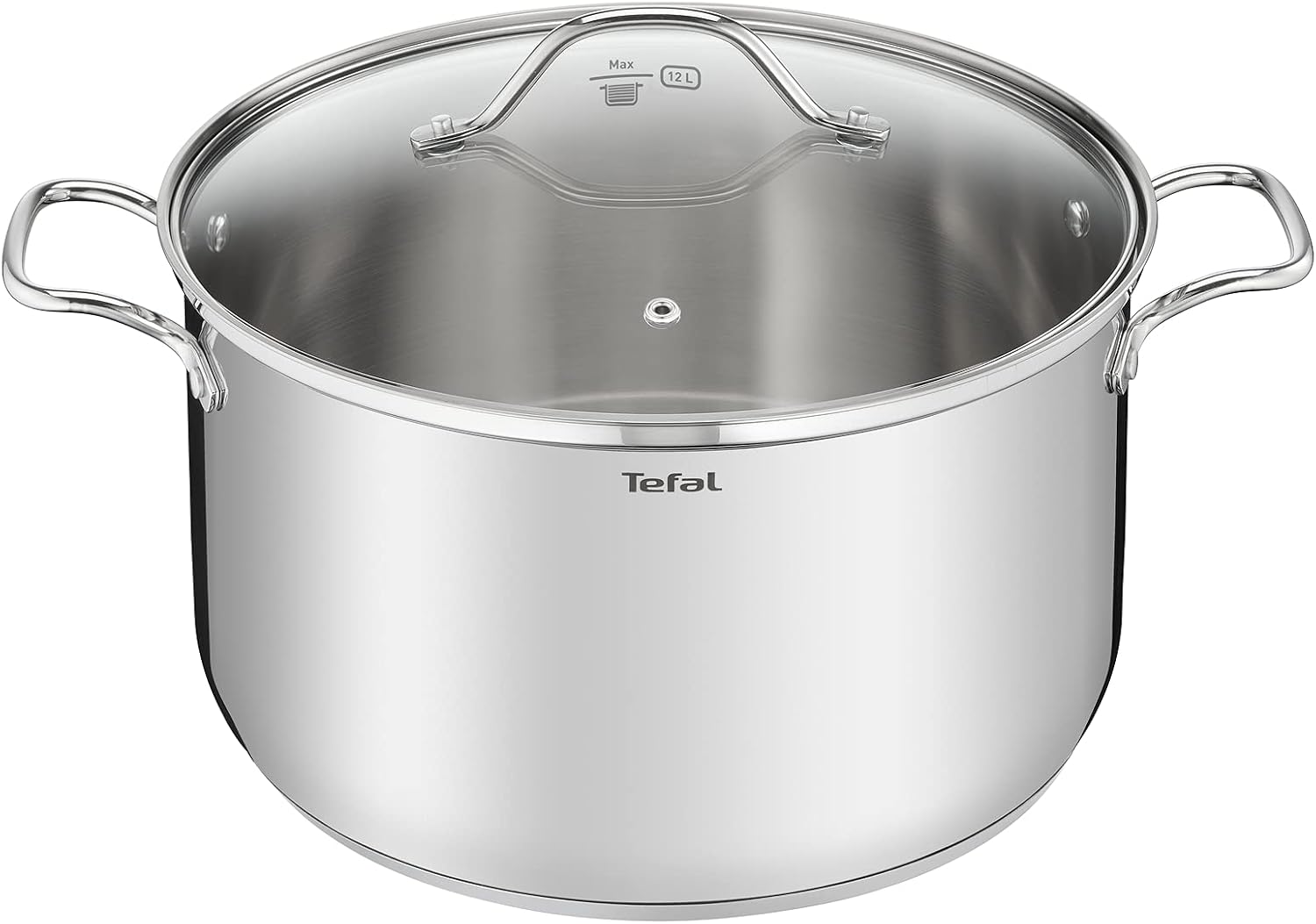 Tefal Intuition XL B8646904 - Grande Marmite Inox 30 cm 10 L avec Couvercle en Verre