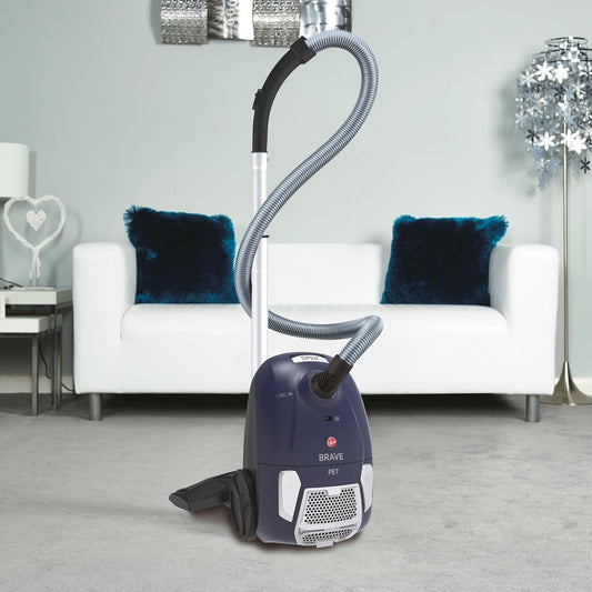 Hoover Aspirateur traineau BV61PET 011