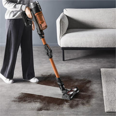 ROWENTA Aspirateur X-force 13.60 RH9A30WO