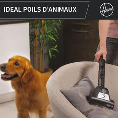 Hoover HP330ALG Aspirateur Traineau sans Sac Compact, Ultra-Puissant, Technologie Cyclonique, Brosse Spécial Animaux, Filtre HEPA 13, 2L, 850 W