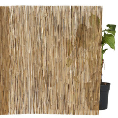 Canisse roseau déco, naturelle, 0.6 kg/m2, H.1 x L.3 m