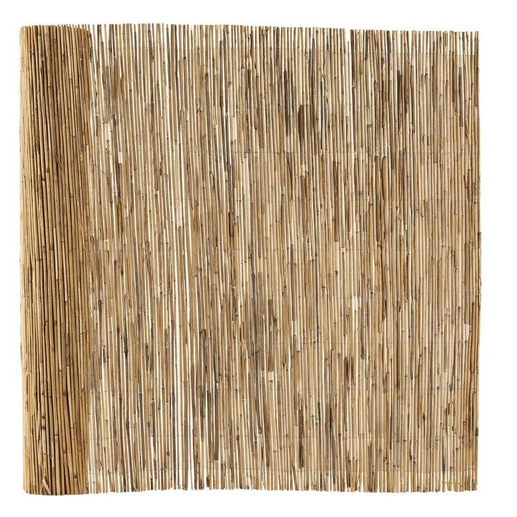 Canisse roseau déco, naturelle, 0.6 kg/m2, H.1 x L.3 m